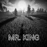 mr_king