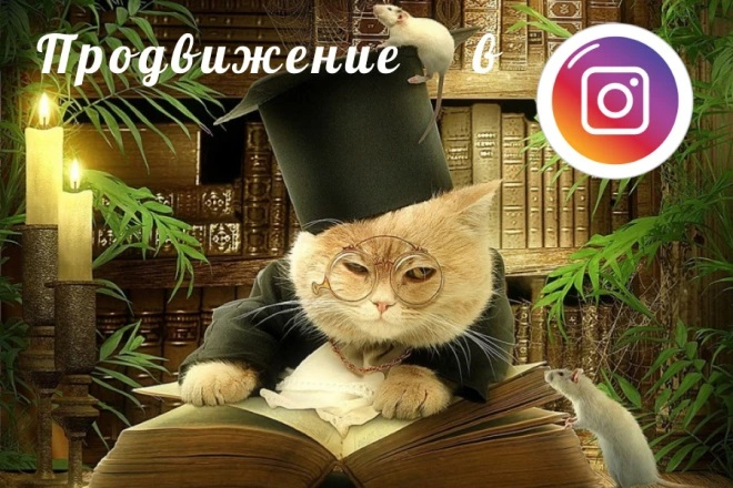 Создание сообщества в Instagram