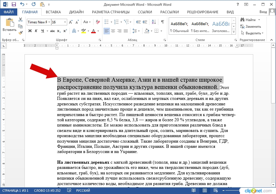 я напишу комментарии под вашими видео,фото и т.д.