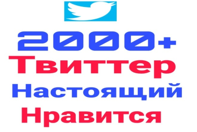 2 000 подписчиков в Twitter с органического трафика