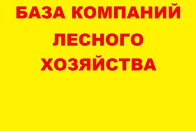 База компаний лесного хозяйство