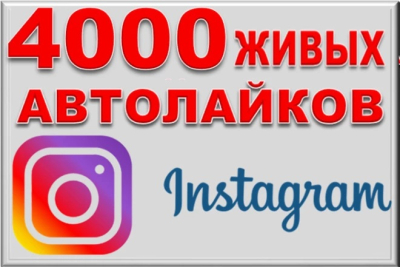 4000 автолайков в Instagram от живых людей