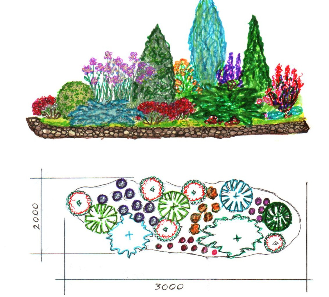 Планирование цветника фото и схемы